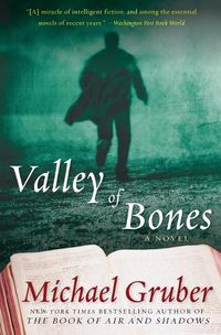 Cover image for Valley of Bones