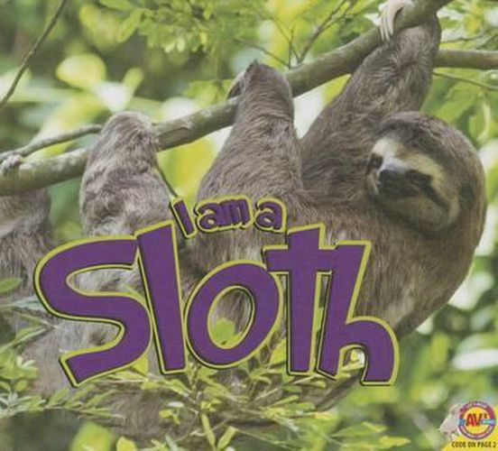 Cover image for I Am a Sloth