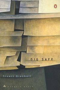 Cover image for Dig Safe