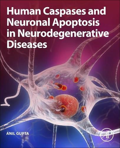 Cover image for Human Caspases and Neuronal Apoptosis in Neurodegenerative Diseases