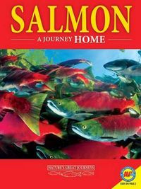 Cover image for Salmon: A Journey Home