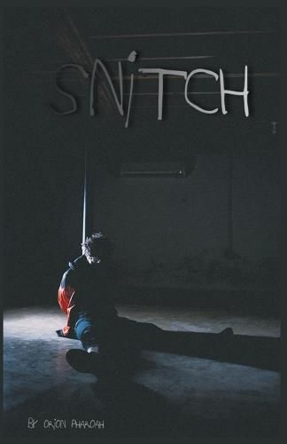 Cover image for Snitch