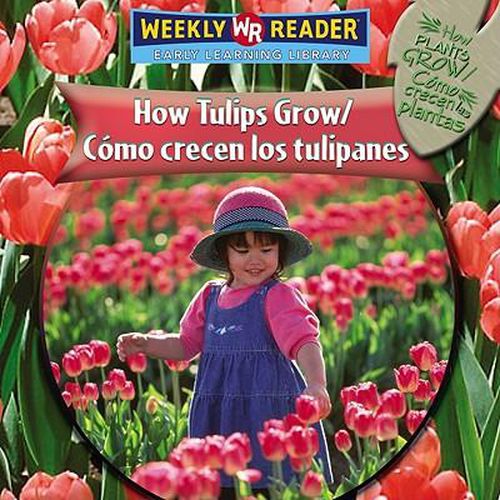 How Tulips Grow / Como Crecen Los Tulipanes