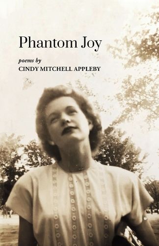 Cover image for Phantom Joy