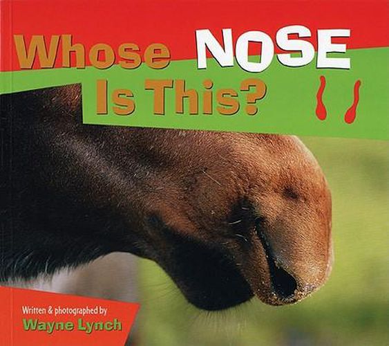 Cover image for Whose Nose Is This?