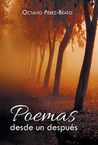 Cover image for Poemas Desde Un Despues