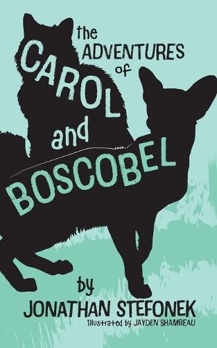 Cover image for The Adventures of Carol and Boscobel