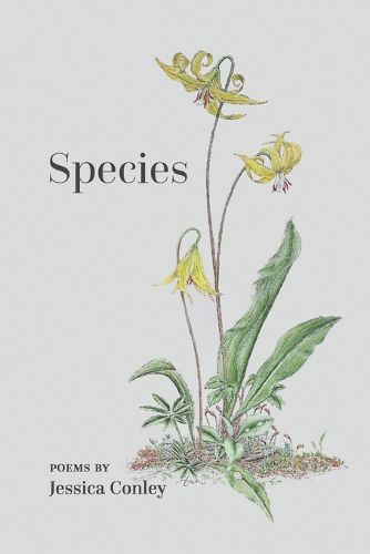 Cover image for Species