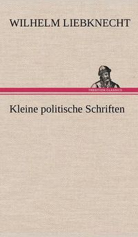 Cover image for Kleine Politische Schriften
