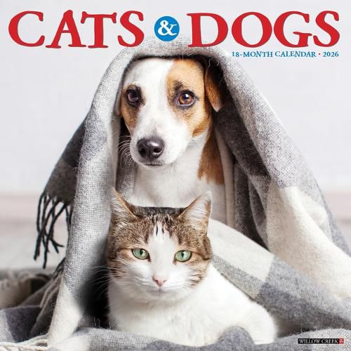Cover image for Cats & Dogs 2026 12 X 12 Wall Calendar