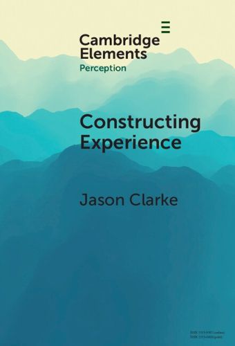 Constructing Experience