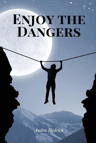 Cover image for Enjoy the Dangers