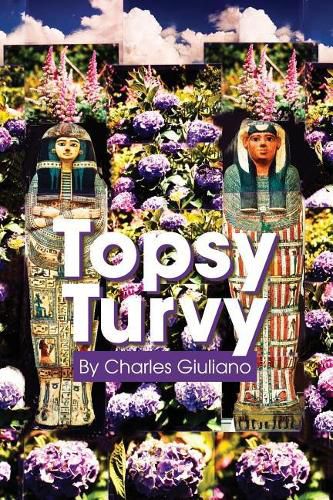 Cover image for Topsy Turvy