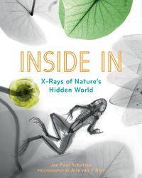 Cover image for Inside In