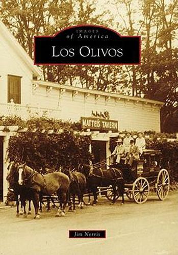 Cover image for Los Olivos