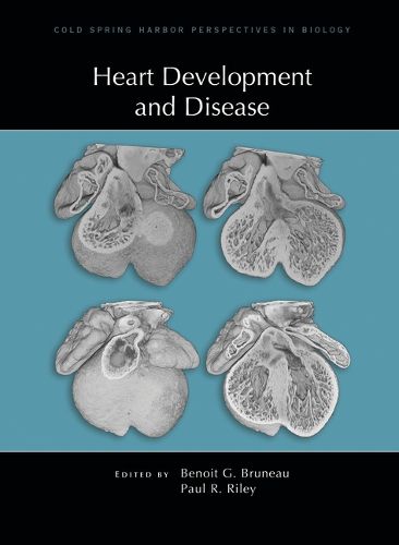 Heart Development and Disease