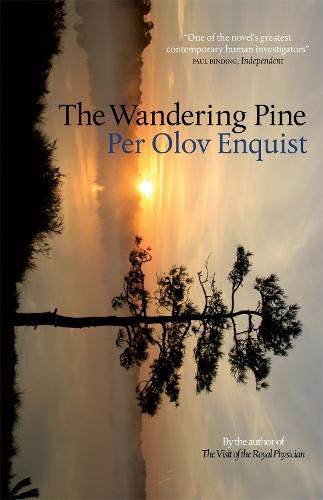 Cover image for The Wandering Pine: Life as a Novel