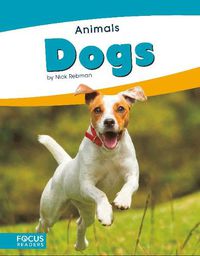Cover image for Animals: Dogs
