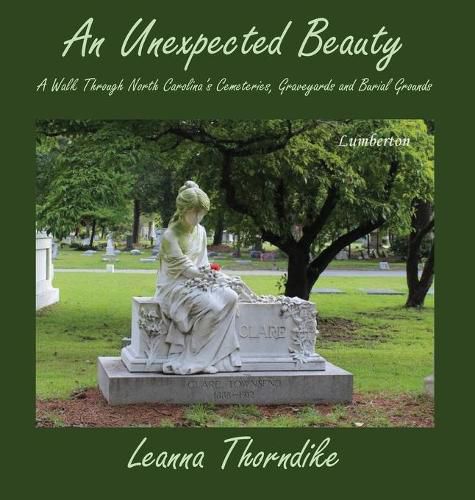 Cover image for An Unexpected Beauty