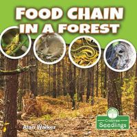 Cover image for Food Chain in a Forest