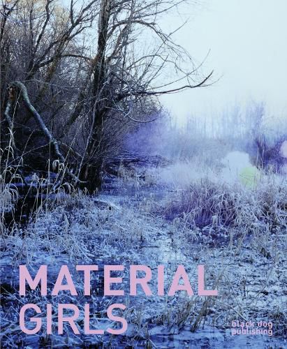 Cover image for Material Girls