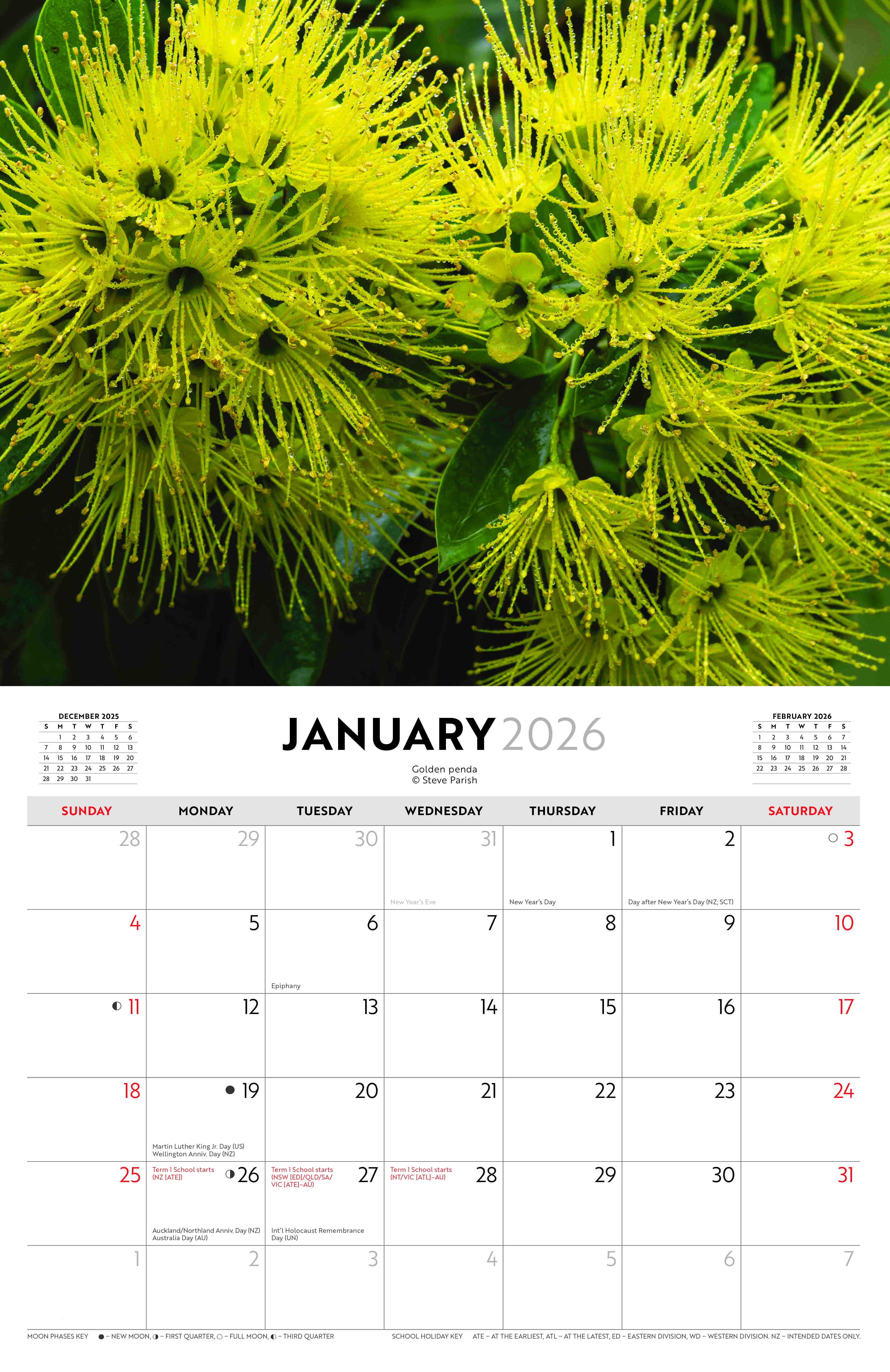 Australian Wildflowers - Steve Parish 2026 Horizontal Calendar