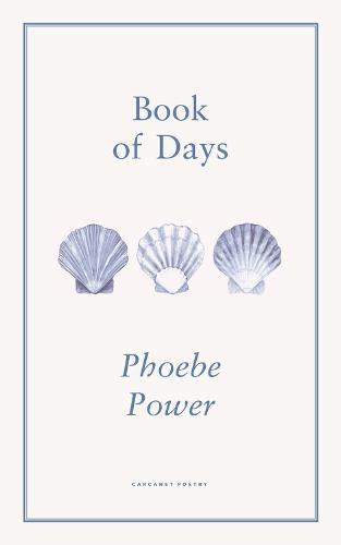 Cover image for Book of Days
