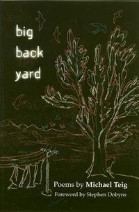 Cover image for Big Back Yard