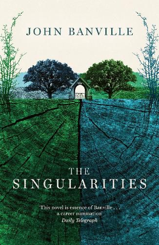 Cover image for The Singularities