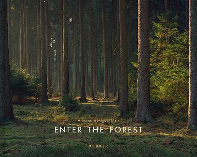 Cover image for Enter the Forest