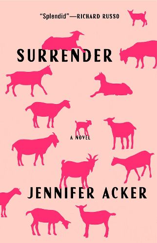 Cover image for Surrender
