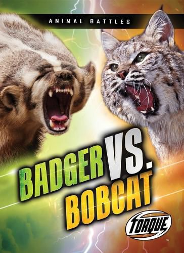 Cover image for Badger vs. Bobcat