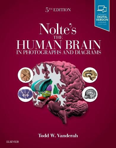 Cover image for Nolte's The Human Brain in Photographs and Diagrams