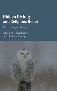 Cover image for Hidden Divinity and Religious Belief: New Perspectives