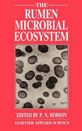 Cover image for Rumen Microbial Ecosystem