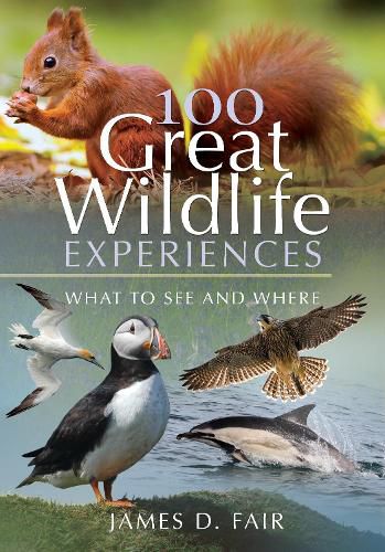 Cover image for 100 Great Wildlife Experiences: What to See and Where