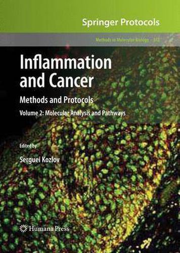 Cover image for Inflammation and Cancer: Methods and Protocols: Volume 2, Molecular Analysis and Pathways