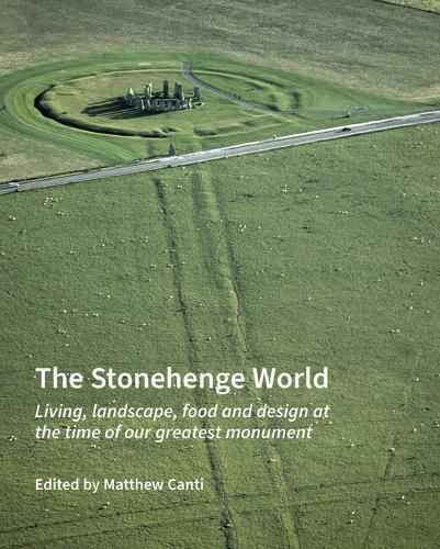 Cover image for The Stonehenge World