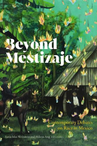 Cover image for Beyond Mestizaje