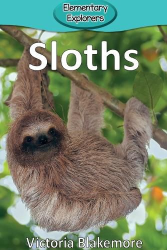 Cover image for Sloths