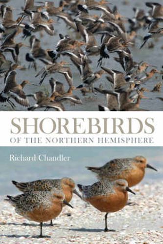 Cover image for Shorebirds of the Northern Hemisphere