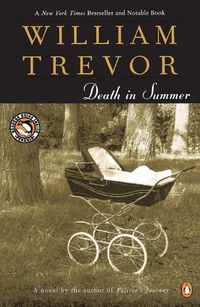 Cover image for Death In Summer