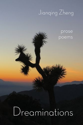 Cover image for Dreaminations