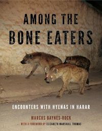 Cover image for Among the Bone Eaters: Encounters with Hyenas in Harar