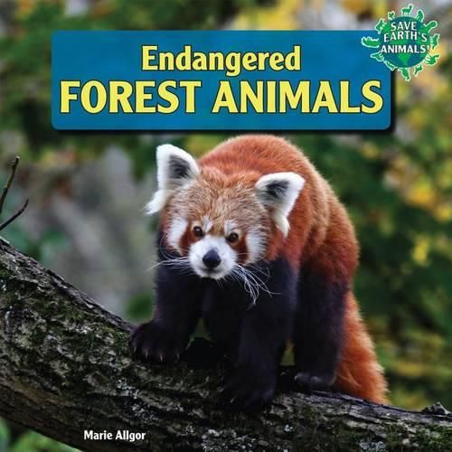 Cover image for Endangered Forest Animals