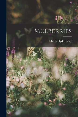 Cover image for Mulberries