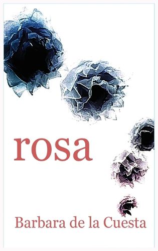 Cover image for Rosa The Driftless Unsolicited Novella Series