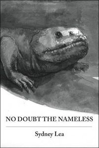 Cover image for No Doubt the Nameless