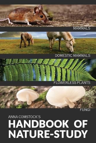 Cover image for The Handbook Of Nature Study in Color - Mammals and Flowerless Plants