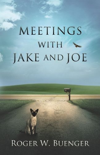 Cover image for Meetings with Jake and Joe